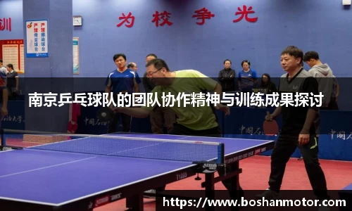 南京乒乓球队的团队协作精神与训练成果探讨